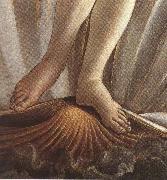 Sandro Botticelli The Birth of Venus (mk36) oil painting artist
